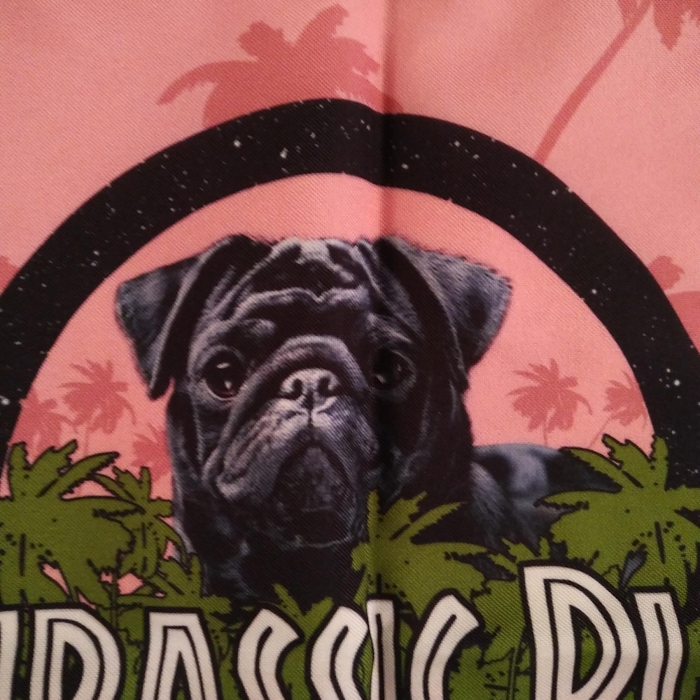 New - Drawstring Shoulder Bag -Backpack- B - image 2